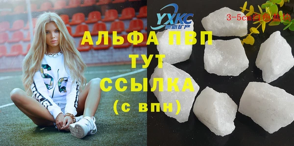 ПСИЛОЦИБИНОВЫЕ ГРИБЫ Зерноград