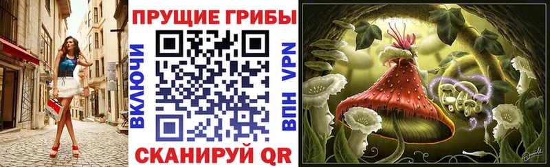 Псилоцибиновые грибы Cubensis  Купить  Камбарка 